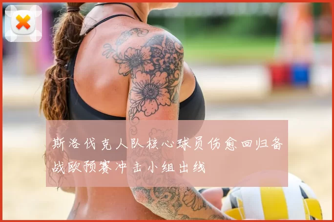 斯洛伐克人队核心球员伤愈回归备战欧预赛冲击小组出线