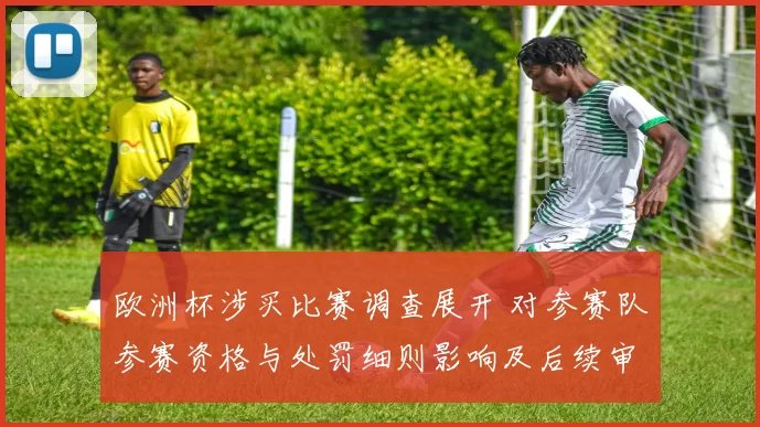 欧洲杯涉买比赛调查展开 对参赛队参赛资格与处罚细则影响及后续审查