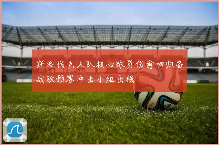 斯洛伐克人队核心球员伤愈回归备战欧预赛冲击小组出线