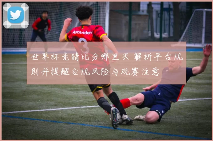 世界杯竞猜比分哪里买 解析平台规则并提醒合规风险与观赛注意