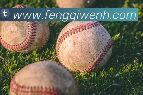 mksports足球直播平台生态图
